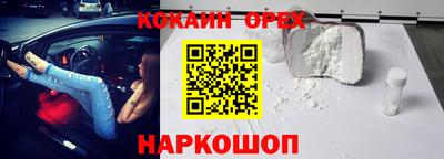 прущие грибы Нальчик