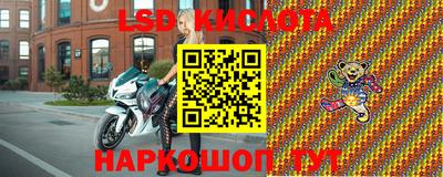 прущие грибы Нальчик