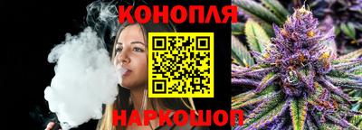 прущие грибы Нальчик