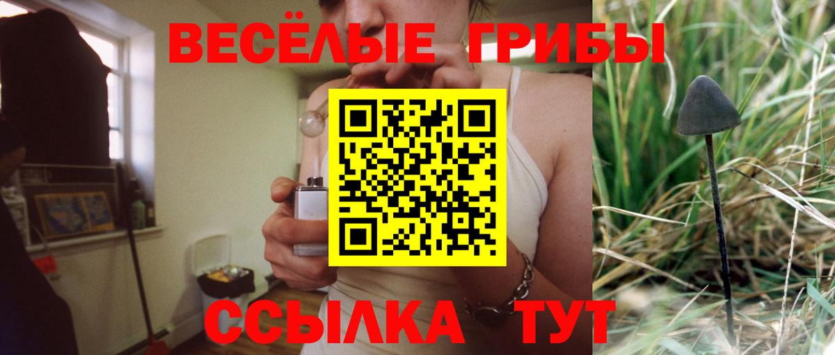 Галлюциногенные грибы мицелий Ялуторовск